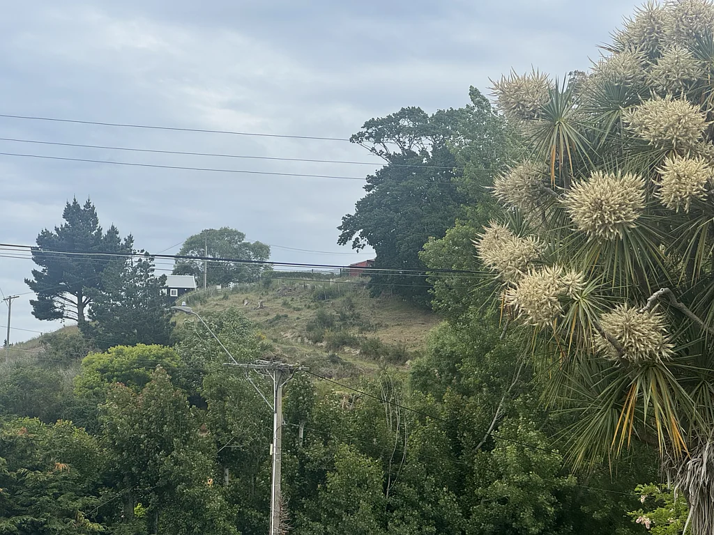Oamaru Maude Street - Section