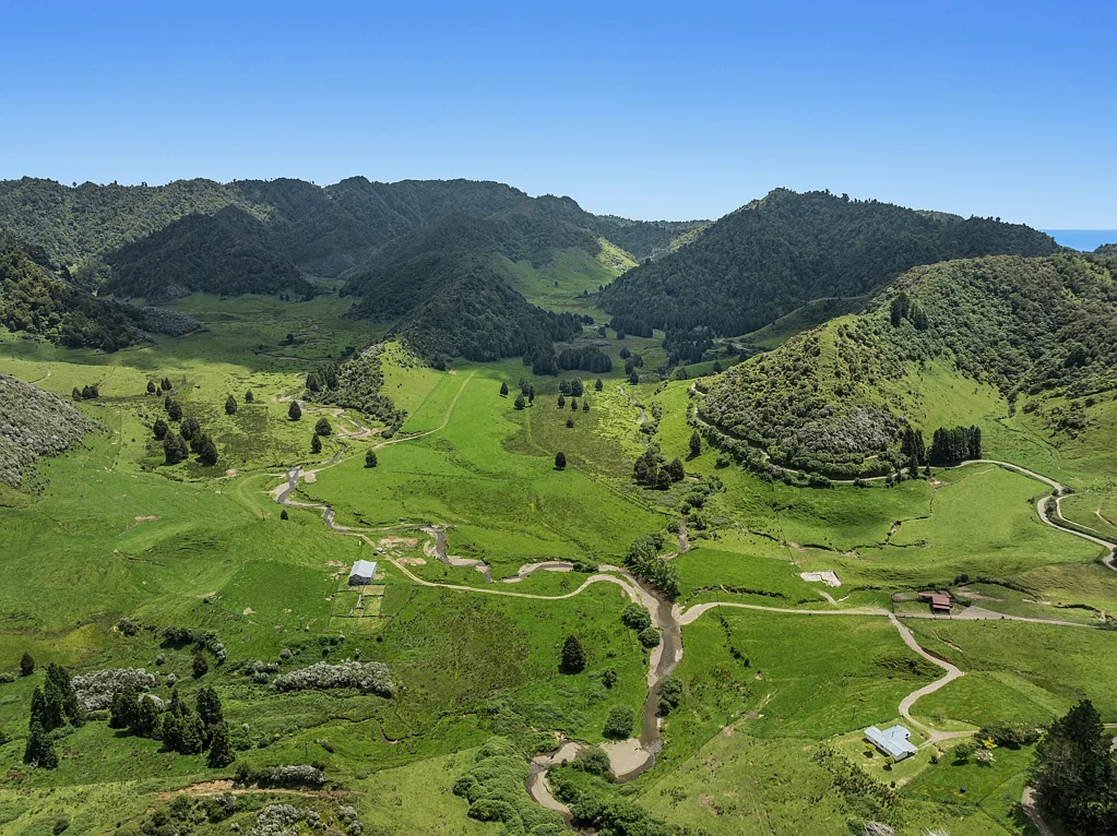 Opotiki and Surrounds 1694ha Grazing/Wilderness - Toatoa