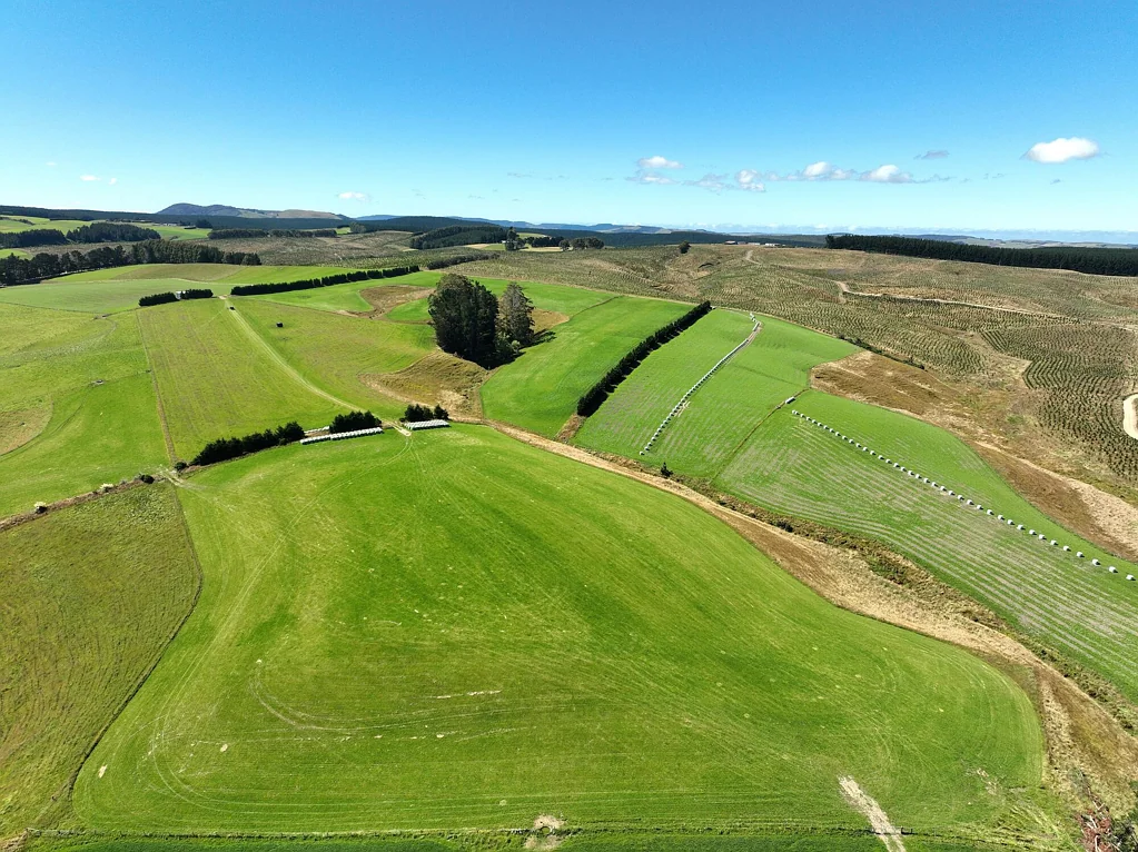 Wyndham Surrounds  Productive Sheep & Beef Unit