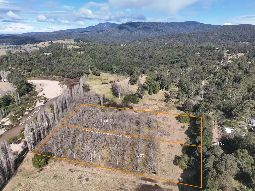 LOT 1 & 2/2293 Towamba Rd, Towamba, NSW 2550