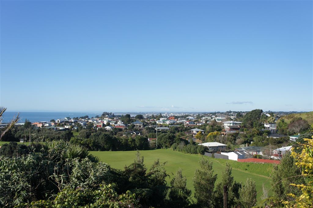 115a Pioneer Road, Moturoa, New Plymouth, 0 chambres, 0 salles de bain