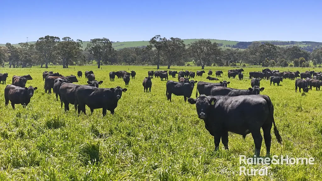 Myponga 'Gum Flat' - Reliable, Versatile & Production Packed on 143ha.