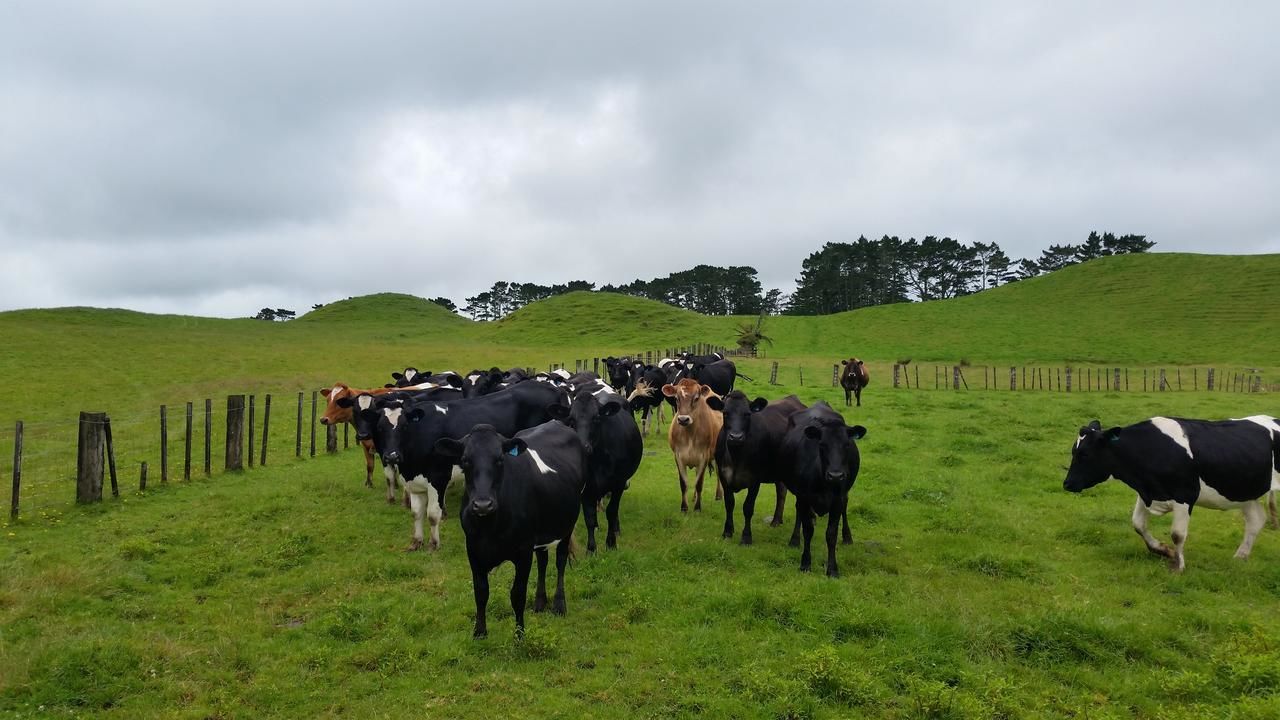 75 Kahui Road, Rahotu, South Taranaki, 0 chambres, 0 salles de bain