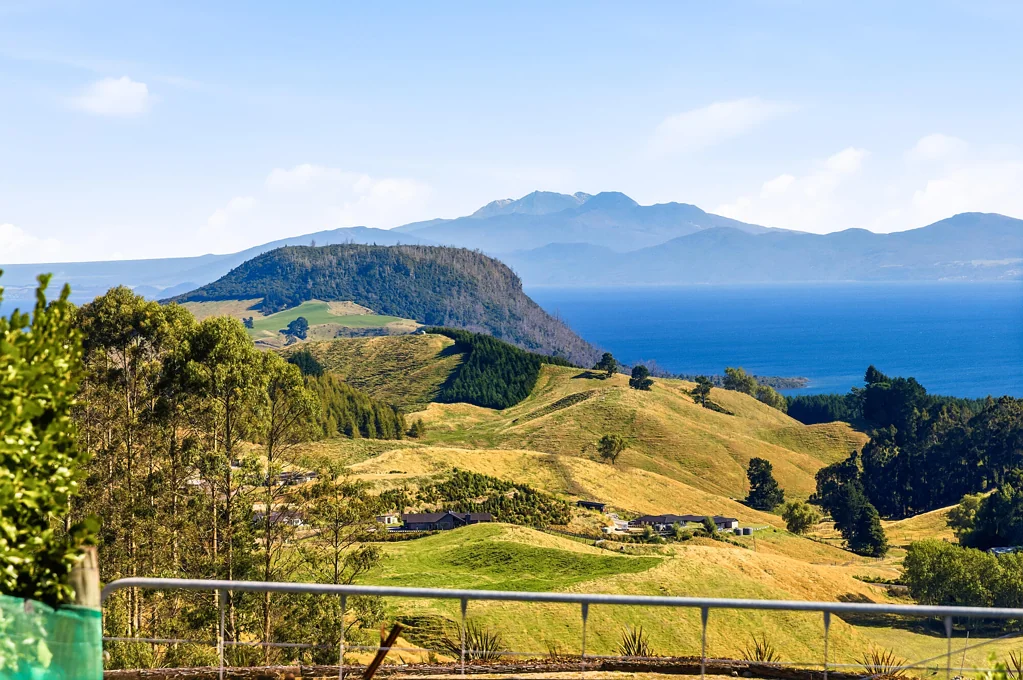Kinloch Grandstand Views