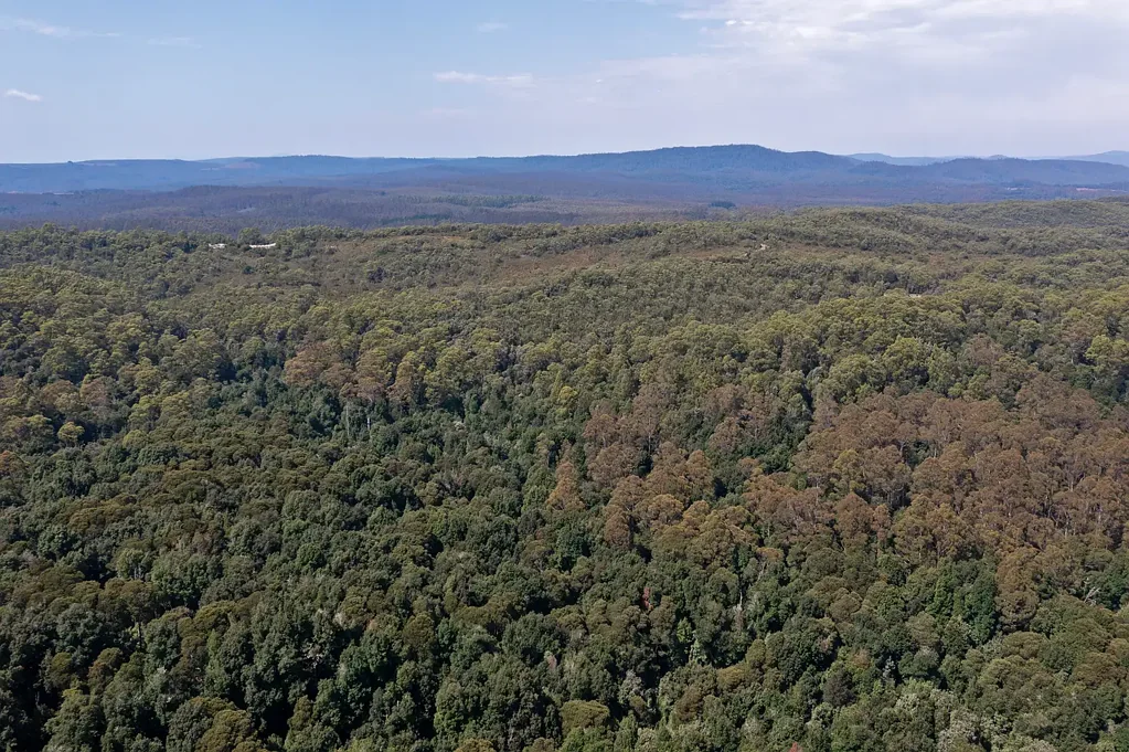 - Myalla Road, Meunna, TAS 7325