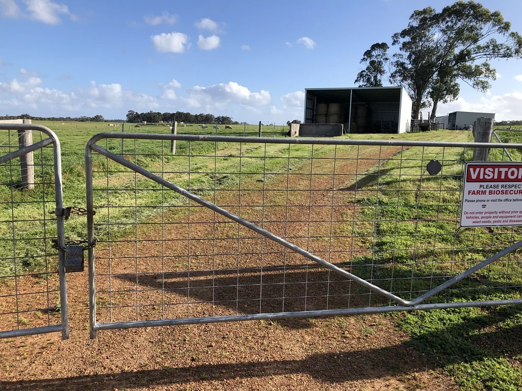 Meerup Prime Farmland - 158 acres 7 kms West of Northcliffe