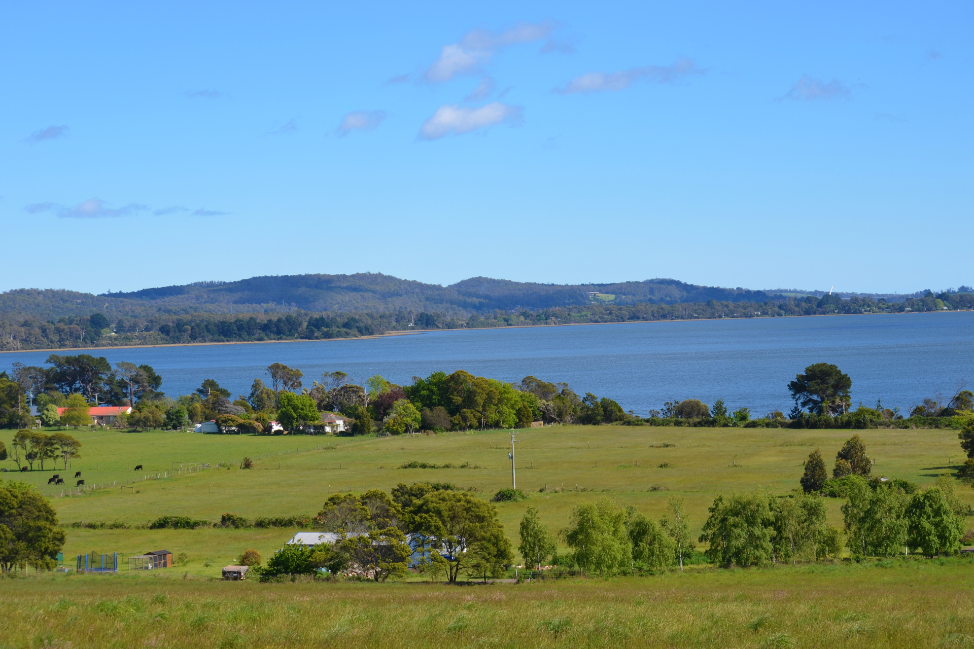 950 WINDERMERE RD, SWAN BAY TAS 7252, 0 રૂમ, 0 બાથરૂમ, Section