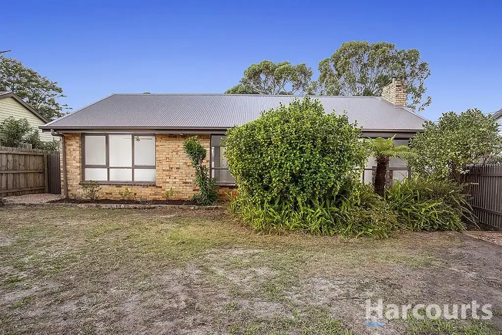 Renovated Delight!
