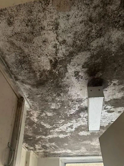 别只看房价了！澳洲这些地方被列为“不健康高危区”？可能影响寿命长短！