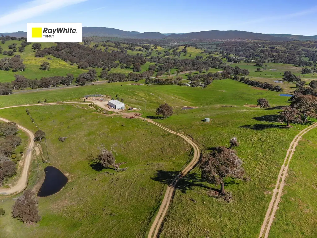 Tumut Rural Lifestyle Opportunity!