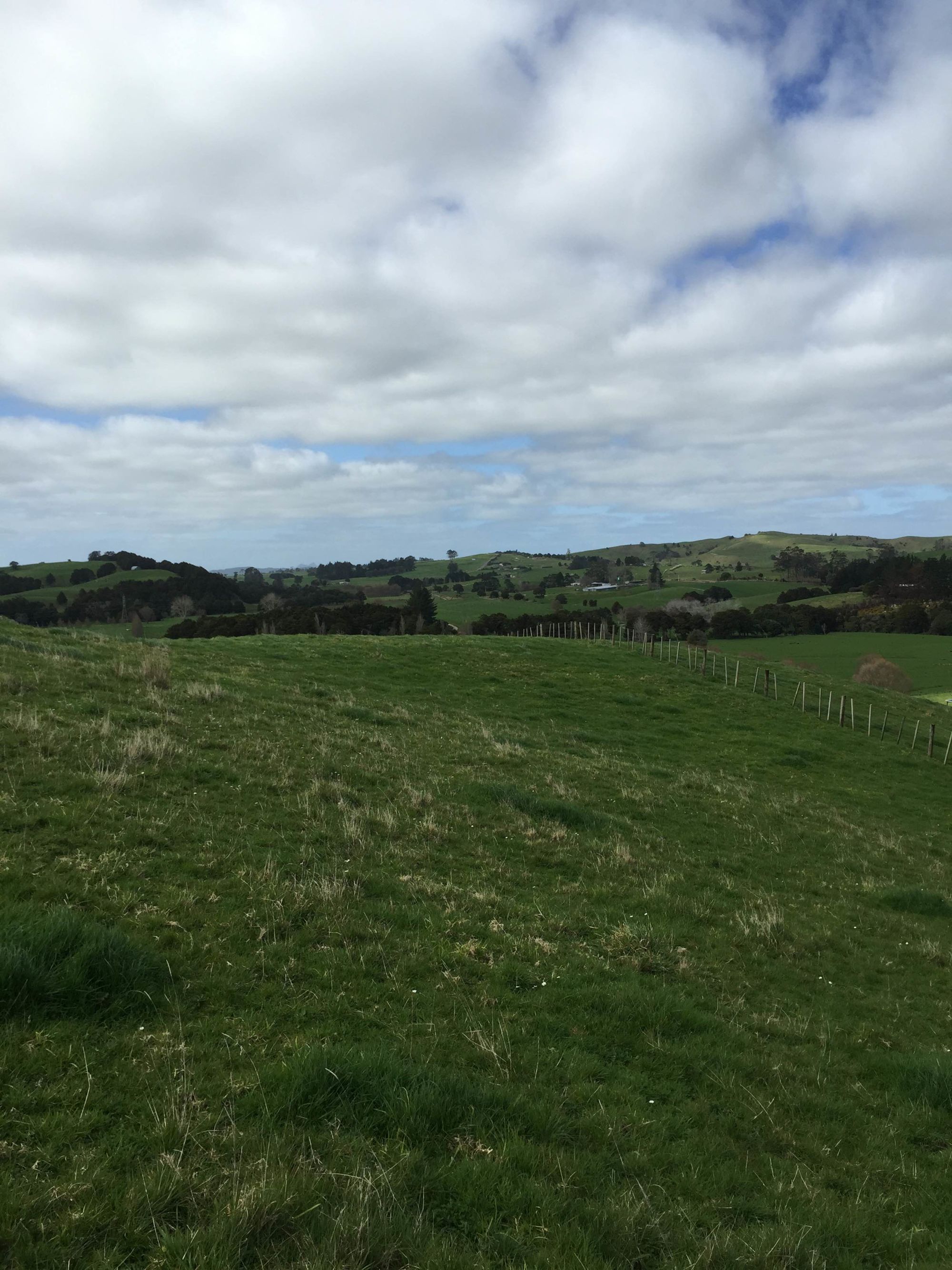 Hayward Road, Maungakaramea, Whangarei, 0 phòng ngủ, 0 phòng tắm