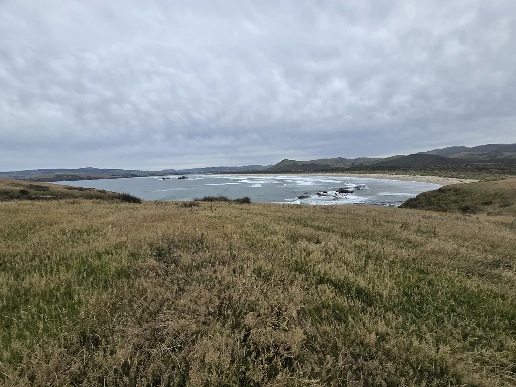 Catlins Surrounds  Crayfish & Paua on your Doorstep