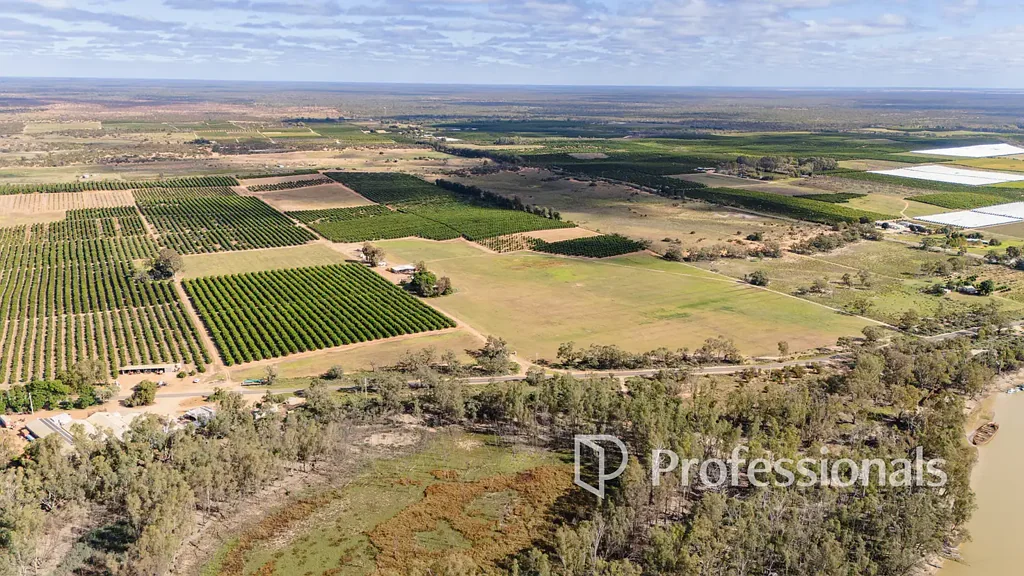 Colignan Hillcrest - Prime Citrus Holding - 80.94Ha (200 Acres)