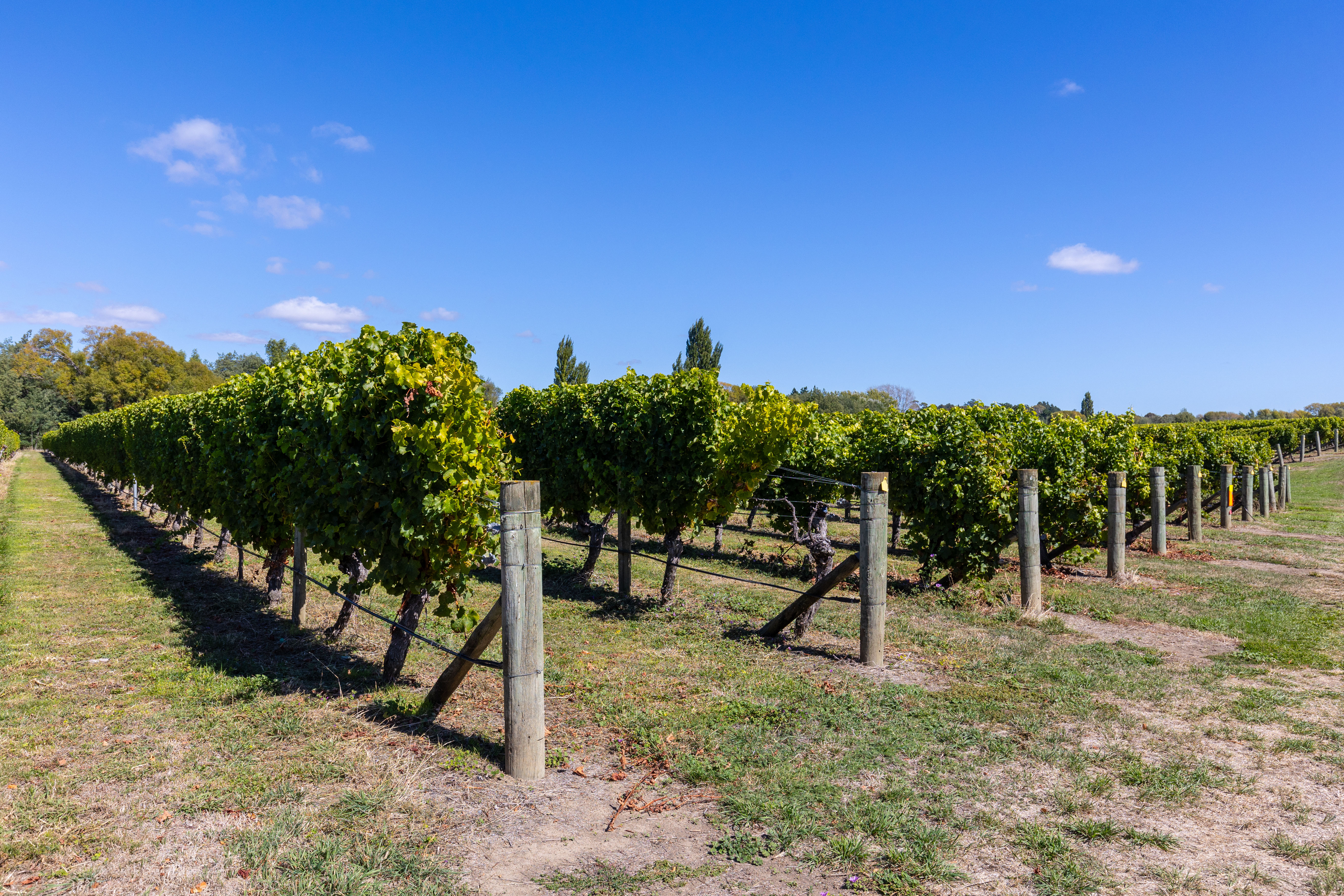 Hawkesbury Road, Hawkesbury, Marlborough, 0 Schlafzimmer, 0 Badezimmer, Bare Land