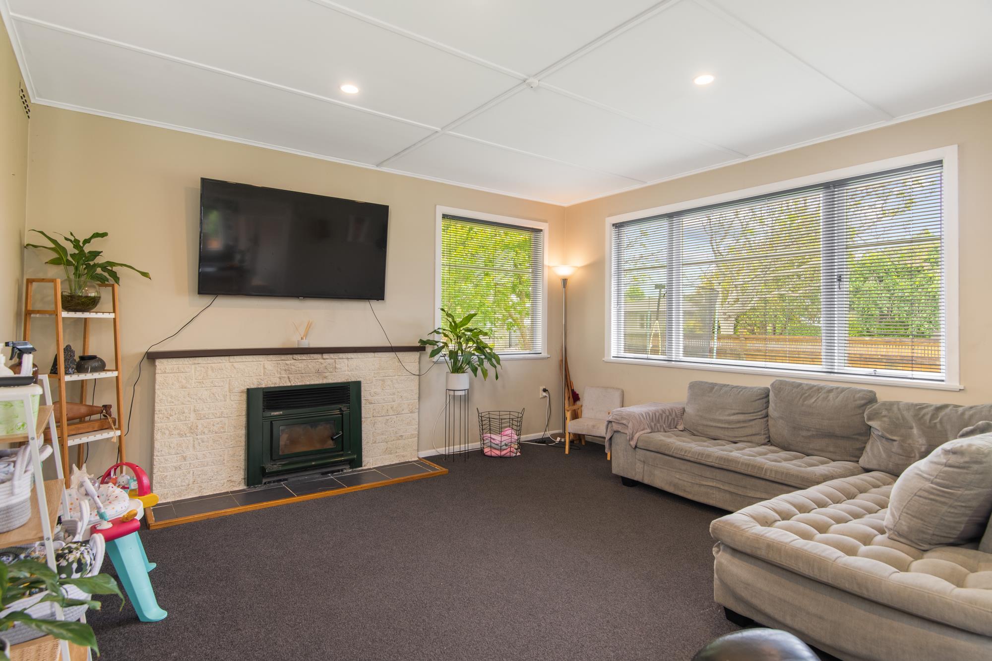 24 Snowdon Avenue, Terrace End, Palmerston North, 3房, 0浴, House