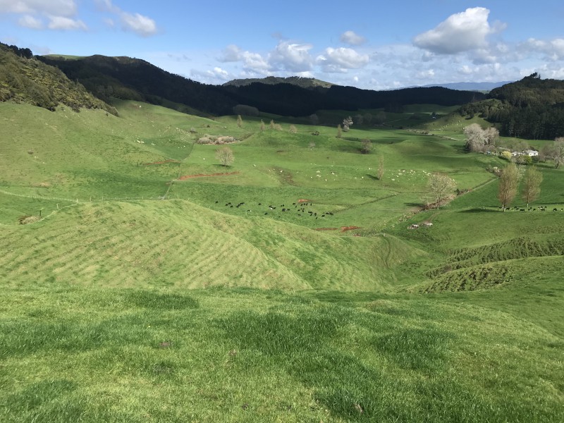 503 Kaitaringa Road, Aria, Waitomo, 3 rūma, 1 rūma horoi