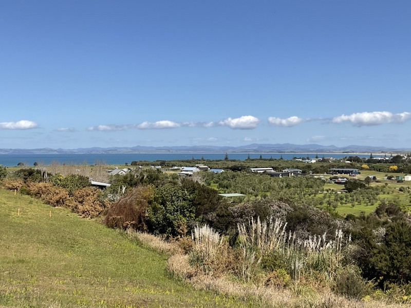 16 Bay Heights Drive, Karikari Peninsula, Far North, 0房, 0浴