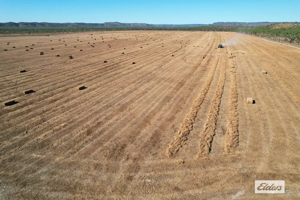 Robin Falls VICTORIA DOWNS - One of the Northern Territory's quality emerging fodder and agricultural enterprises.