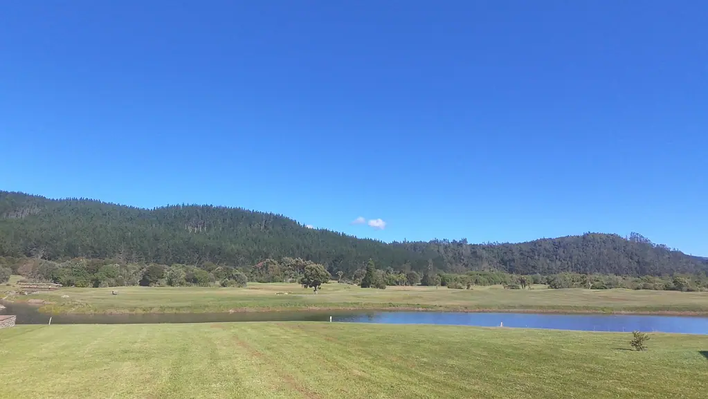 Pauanui  Present all offers! Must Sell!