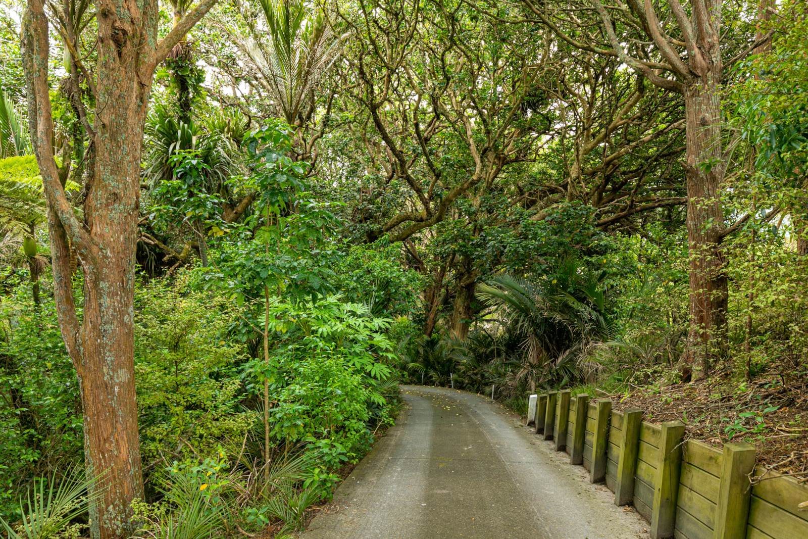 124 Pebble Brook Road, Waitoki, Auckland - Rodney, 4 Bedrooms, 0 Bathrooms