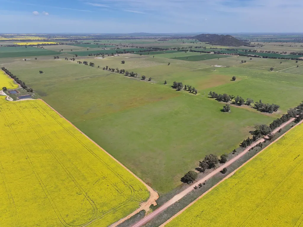 100 Tauntons Road, Kikiamah, NSW 2594