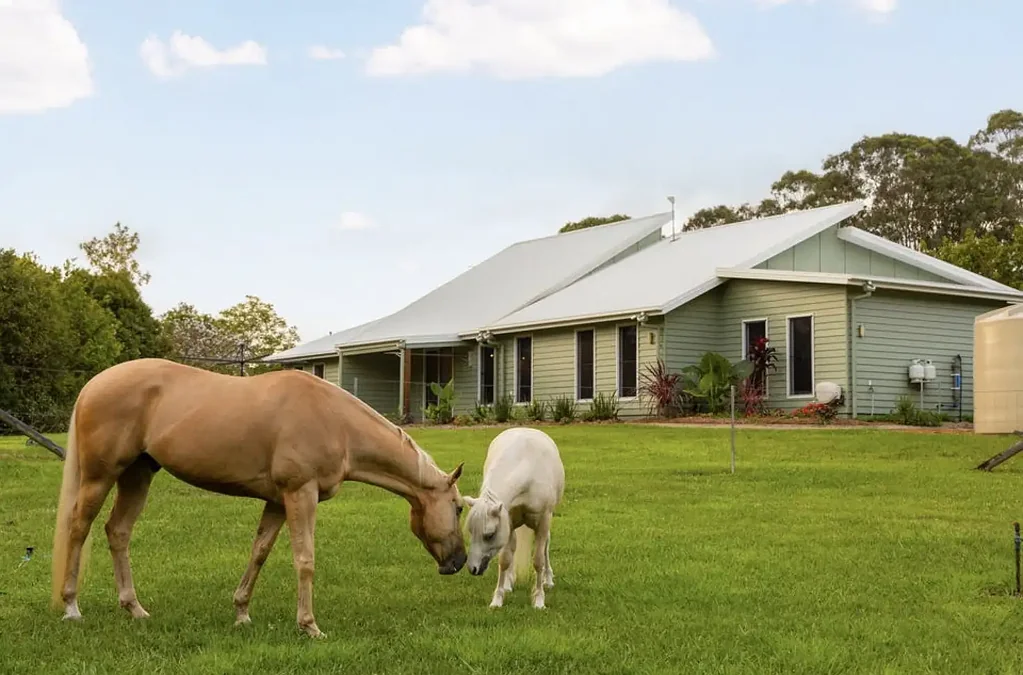 Mooloolah Valley 4침실 Luxury Lifestyle Estate on 7.5 acres with 15m Pool, Stables & Extensive Shed Infrastructure