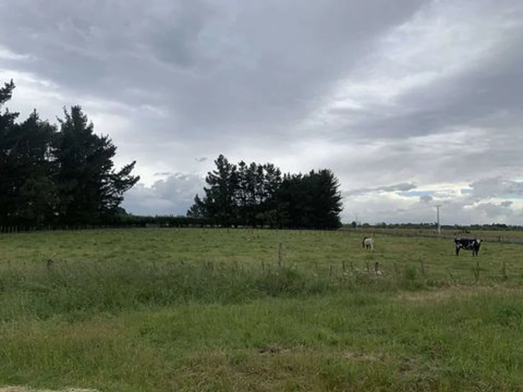 Tikokino Exceptional Development Opportunity
