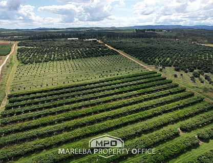 1463 Mareeba-Dimbulah Road, Arriga, Far North, 5房, 2浴, Lifestyle Property