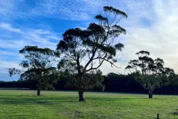 Cemetery Road, Cobden