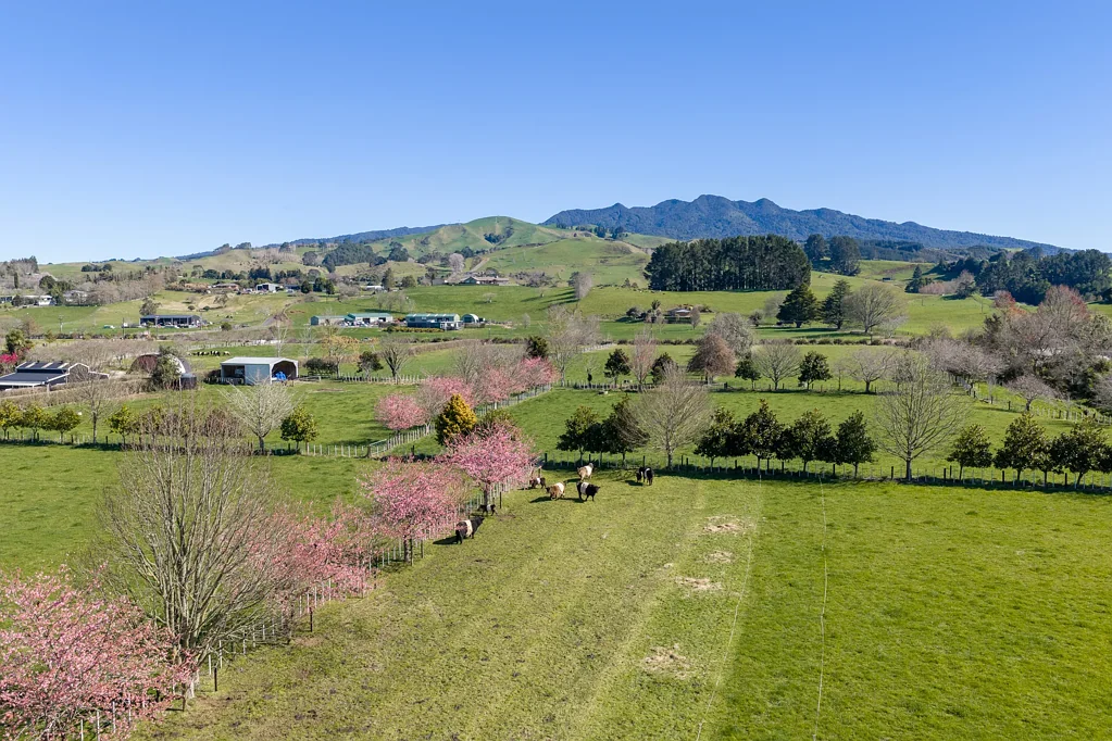 Pirongia Boutique farming operation