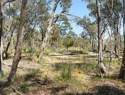 LOT Lot 3 Derby Road, Maryborough, Bendigo, 0 rūma, 0 rūma horoi, Lifestyle Property