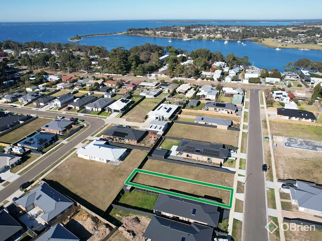Paynesville Plant Your Roots In Paynesville Park