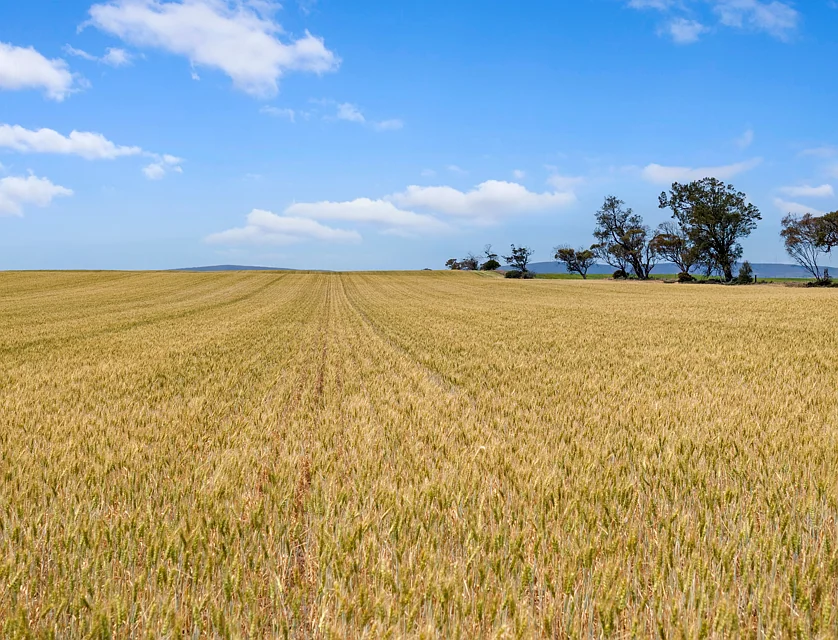 'The Block' Fletchers Road, Port Broughton, Barossa - Yorke - Mid North, 0 ห้องนอน, 0 ห้องน้ำ, Lifestyle Property