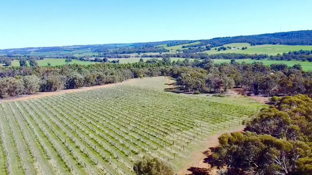 Wandering Winery, Tavern, Restaurant, Accomodation on Acreage!