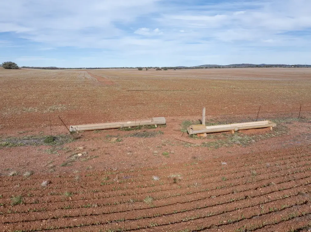 Neales Flat Scale Up in Proven Farming Country
