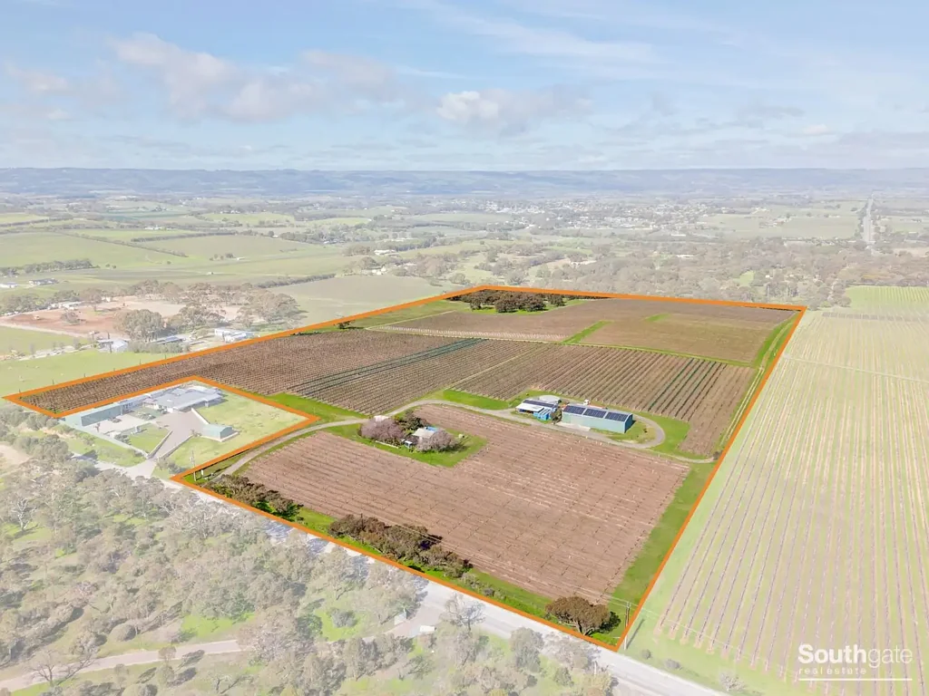 Mclaren Vale Elevated 16 ha overlooking McLaren Vale township & surrounding countryside.