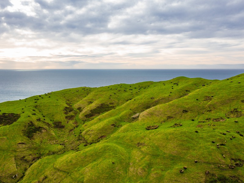 489 Paritu Road, Bartletts, Gisborne, 0 rūma, 0 rūma horoi