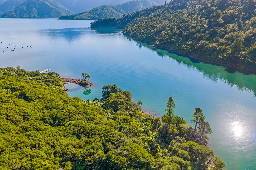 Pelorous Sounds  Waterfront haven in Yncyca Bay