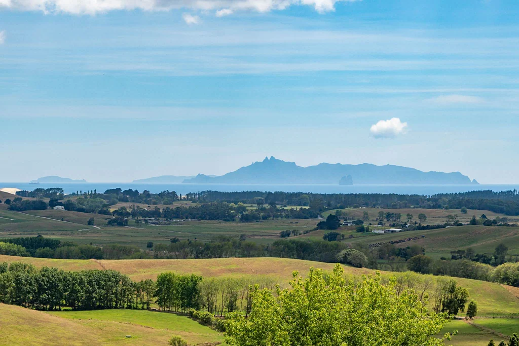 Te Arai Te Arai Point legacy