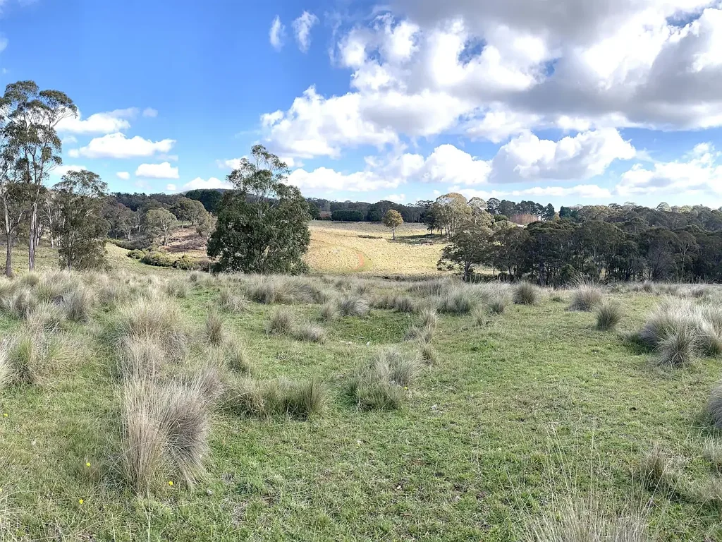 Hanging Rock  Secluded acreage with permanent creek.