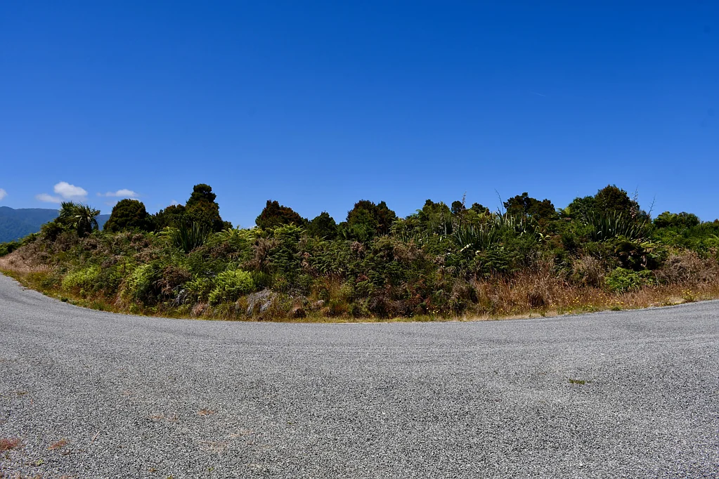 Karamea Bush on the Bend