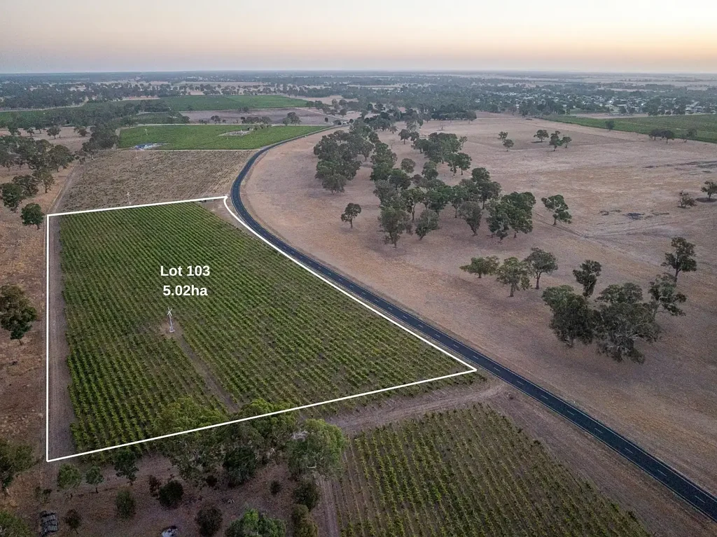 Penola Lifestyle allotment two minutes from Penola