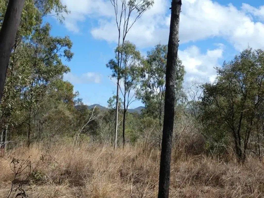 Mount Maria 40 ACRES CLOSE TO BAFFLE CREEK & THE COAST