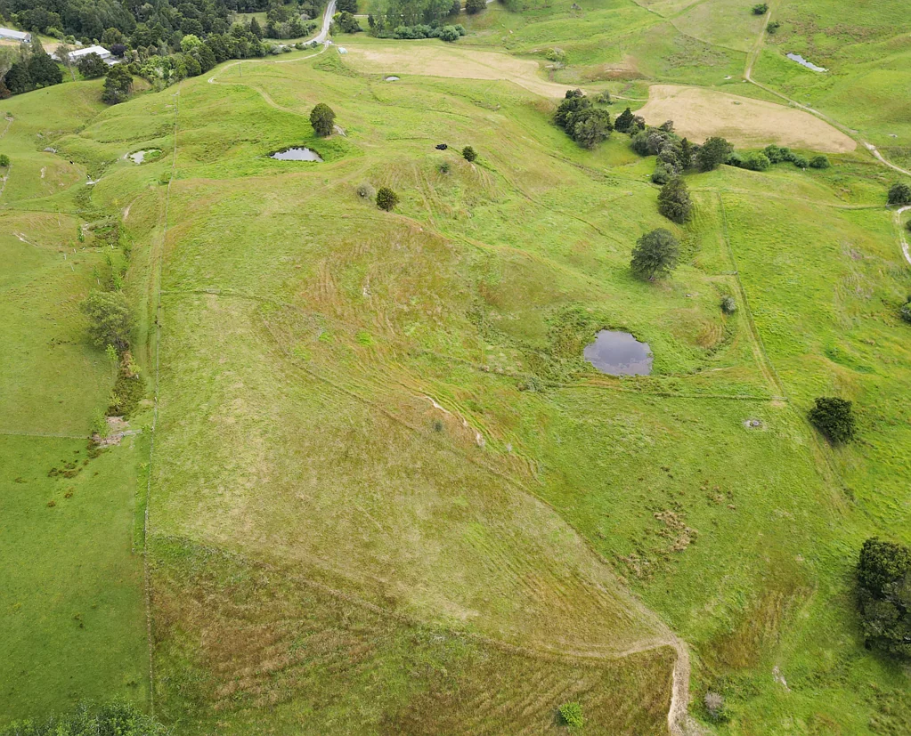 Paparoa Privacy, Potential