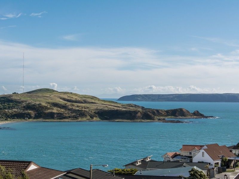 1 Tregear Place, Camborne, Porirua, 4房, 0浴