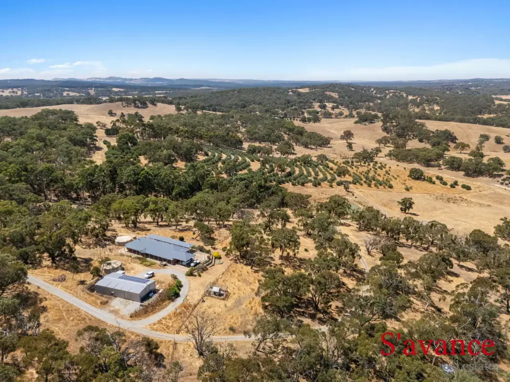 203B Quinns Road, Forreston, SA 5233