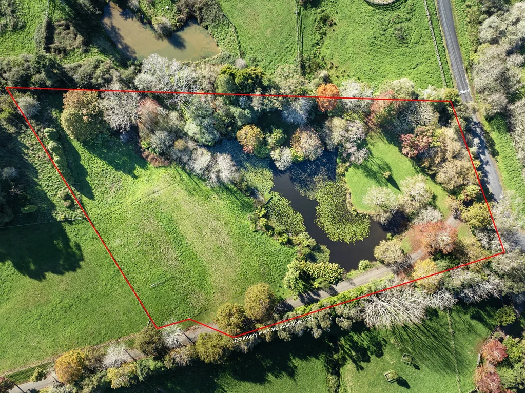 Ararimu  1.25Ha Bare Land with Established Beauty