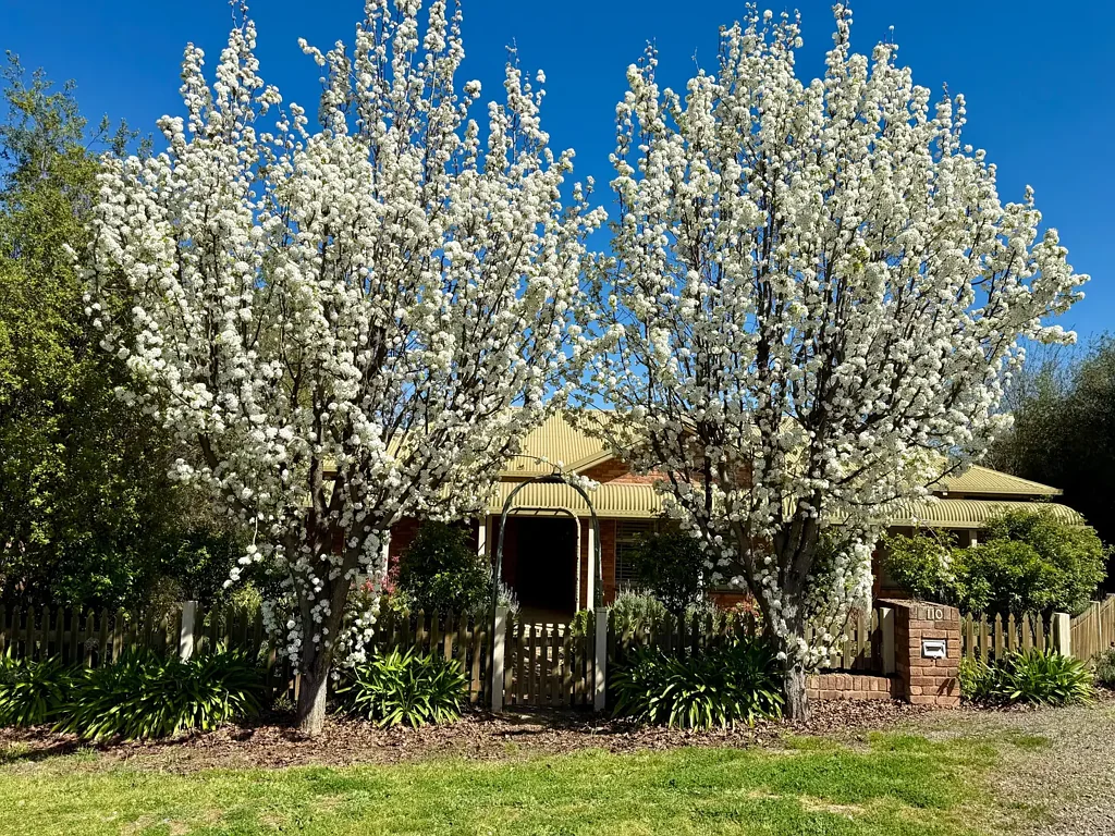 110 Blackett Avenue, Young, NSW 2594