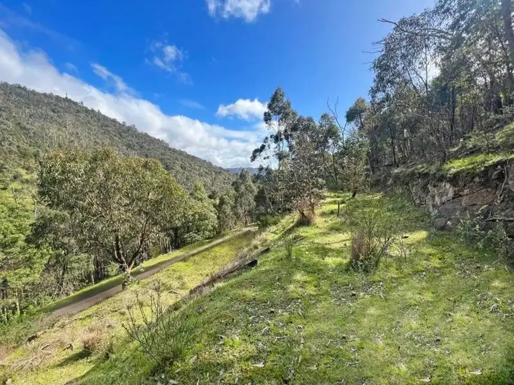 Flowerdale NEW PRICE - 2 acres (8214m2) approx. ( 40m frontage ) - elevated with nice hill outlook