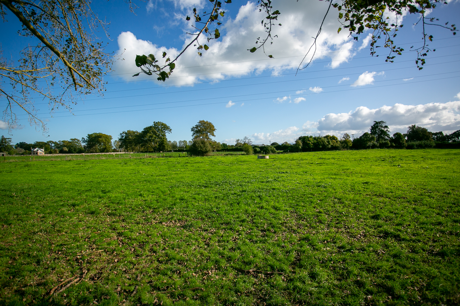 378 Victoria Road, Pukemoremore, Waipa, 0房, 0浴, Grazing